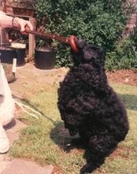 mummy is trying to grab my ring