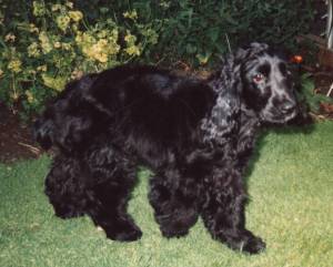 Tired Donna with long coat