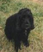 Time they took me out