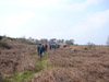 group walking