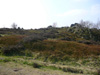 view of outcrop